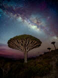 Socotra night sky
